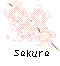 `eB[y`Sakura`